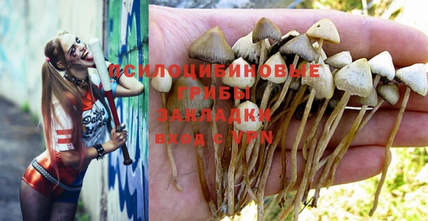 ПСИЛОЦИБИНОВЫЕ ГРИБЫ Белоозёрский