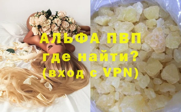 ПСИЛОЦИБИНОВЫЕ ГРИБЫ Белоозёрский