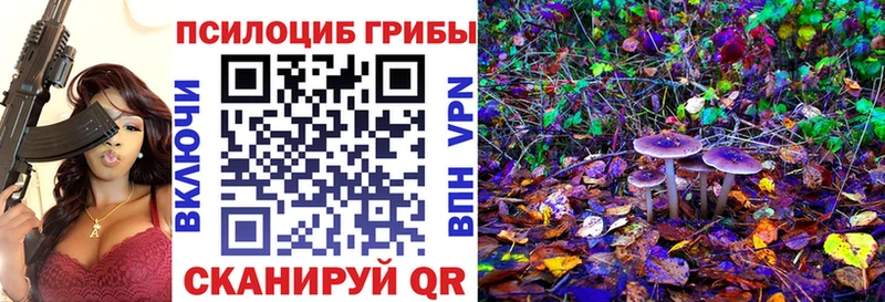 Галлюциногенные грибы мицелий  ссылка на мегу вход  Курлово  наркота 